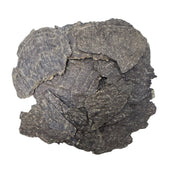 SAFAEH JAR MALAKIYA