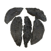 SAFQA INDIAN JAR FAKHIR